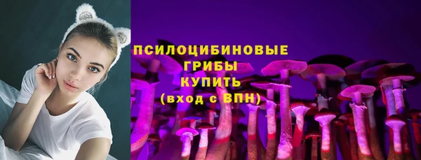 соль ск Алексин