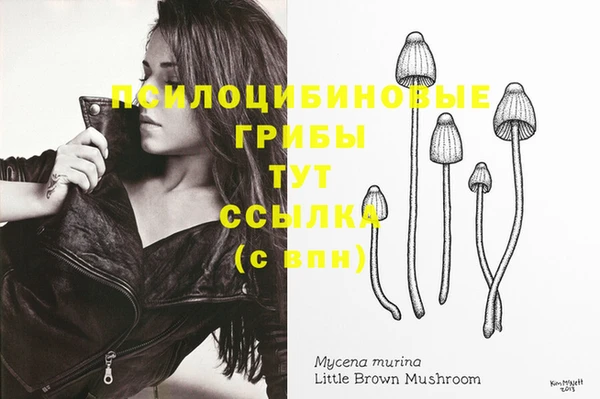 MDMA Premium VHQ Гусиноозёрск
