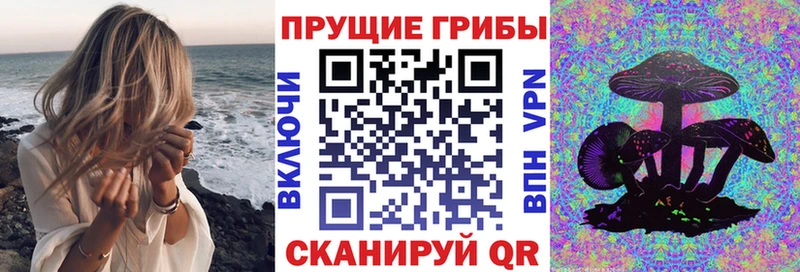 наркошоп  Боровичи  Галлюциногенные грибы Psilocybe 