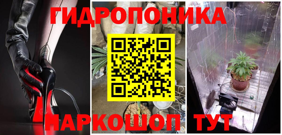 Конопля MAZAR Боровичи